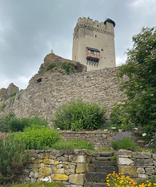 Burg